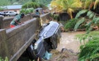 The cascading effects of tree logging in the Caribbean