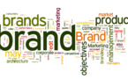 Sustainability Study: Impact and Strategies for Consumer Brands