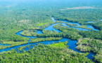 Empowering Indigenous Leadership: Vision for a Resilient Amazon Ecosystem