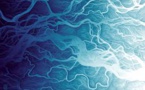 Maximizing Sustainability: Enhancing Water Efficiency Across Production and Use Processes