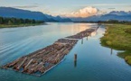 Sofidel America Wins Gold Stevie® Award for ESG Excellence: Leading the Way in Sustainable Practices Sofidel America Wins Gold Stevie® Award for ESG Excellence: Leading the Way in Sustainable Practices
