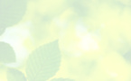 Award Ceremony To be Held by Leumi For CSR Activities