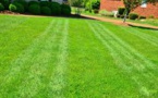 Eco-Friendly Lawn Care Tips: Enhance Your Outdoor Space with Scotts Eco-Friendly Lawn Care Tips: Enhance Your Outdoor Space with Scotts