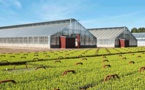 Iggesund Paperboard Gives Back More To The Nature