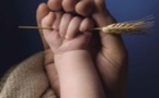 Barilla’s Sustainable Culture Weaves Economic Growth With Its CSR Responsibilities