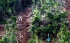 Peatland Rehabilitation Work To Commence On APP’s Commercial Lands That Are Being Retired For The Global Interest