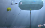 Carnegie Presents World’s First ‘Wave Farm’ That Generates Clean Electricity