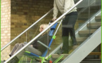Evacusafe To Deliver Its Evacuation Chairs For ‘Rugby World Cup’ 2015