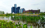 Dow And Nature Conservancy Report Stresses On The Importance Of Green Infrastructure In Asset Management Strategy