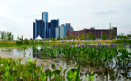 Dow And Nature Conservancy Report Stresses On The Importance Of Green Infrastructure In Asset Management Strategy Dow And Nature Conservancy Report Stresses On The Importance Of Green Infrastructure In Asset Management Strategy