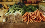 Fighting Hunger in New Jersey: PSEG's Support for Local Food Banks