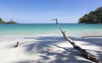 Growing Number Of Tourists Show An Inclination Towards Responsible Tourism Growing Number Of Tourists Show An Inclination Towards Responsible Tourism