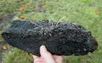 Responsible Peat Sourcing & Restoration - Benefits & Practices Responsible Peat Sourcing & Restoration - Benefits & Practices