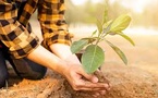 Arbor Day Carbon Releases 2024 Insights on Voluntary Carbon Market Trends Arbor Day Carbon Releases 2024 Insights on Voluntary Carbon Market Trends