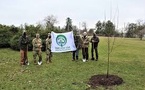 Arbor Day Foundation Reaches 95% of U.S. Neighborhoods with Tree Planting Efforts Arbor Day Foundation Reaches 95% of U.S. Neighborhoods with Tree Planting Efforts