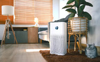 How Healthy Indoor Air Boosts Productivity, Cuts Costs &amp; Drives Business Success