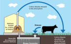 Dairy Digesters Will Be Wise Investment For California, Reveal New Study