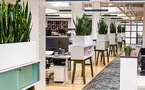 WELL Building Awards 2024: Global Leaders in Healthy and Sustainable Spaces