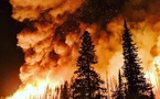 Eaton Unveils HiZ Protect for Advanced Wildfire Prevention &amp; Grid Safety
