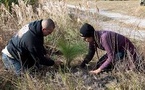 Arbor Day Carbon Wins ACR 2025 Commitment to Quality Award for Carbon Market Leadership