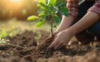 Andriaki and Arbor Day Foundation Plant 1 Million Trees for Carbon Offset and Reforestation