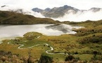 Reviving the Andes: Acción Andina’s Mission to Restore Ecosystems and Secure Water
