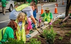 Arbor Day Foundation Raises $2.35M for 10M-Tree Hurricane Recovery Initiative