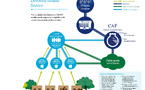 Climate Finance Insights: Future Challenges &amp; Opportunities with Trenton Allen