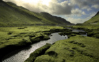 Scotland Fails To Create A Healthy CSR Business Culture, Reports Study