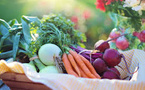 Local Food Drives Climate Action and Equity in Georgia