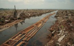 Asia Pulp and Paper Starts A New Initiative To Tackle With Deforestation