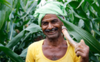 Tata Power’s Agricultural Initiative Increases Yields For Indian Farmers