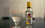 Bacardi Hosts Hurricane Preparedness Training with Red Cross in South Florida