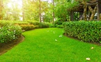How Healthy Lawns Help Fight Climate Change