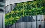 Investing in Healthy Buildings: Boost Productivity, Well-being &amp; Real Estate Value