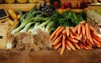 Celebrating National Food Bank Day: PSEG Foundation and Volunteers Fighting Hunger