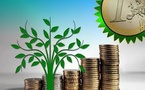 Trellis Impact 25: Uniting VERGE, Bloom &amp; GreenFin for Global Sustainability Innovation