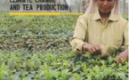 Tata Global Beverages Presents a Future Climate Projection On Tea Production 