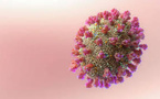 Hyundai Bioscience Launches U.S. Phase 2 Trials for Broad-Spectrum Antiviral Xafty