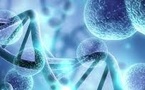 Belief BioMed &amp; Grand Life Sciences Partner to Advance Hemophilia A Gene Therapy in China
