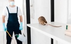 Elanco Launches TruCan Ultra Lyme-L4 for Lyme and Leptospirosis Protection