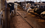 PSIC Provides $45 Million Financing to Novilla RNG for Dairy Renewable Gas Expansion