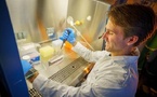 SetPoint Expands FDA-Approved Rheumatoid Arthritis Therapy to North Carolina