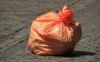 Carver &amp; Volunteers Clean Up The Environment