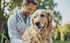 VARON Launches Portable Pet Oxygen Bundle and Oxygen Mask