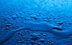 Advanced Waterproofing for Serbia's Innovation District