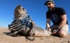 Neste Powers Tara Arctic Climate Expedition With Renewable Diesel