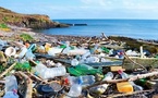 Iron Software Partners with Seven Clean Seas for Thailand Plastic Cleanup
