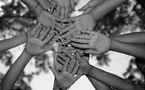 Trip.com Group Expands Family and Sustainability Initiatives