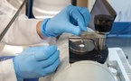 Mabwell Denosumab Biosimilars Pass ANVISA GMP Inspection